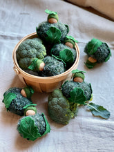 Load image into Gallery viewer, Broccoli Child
