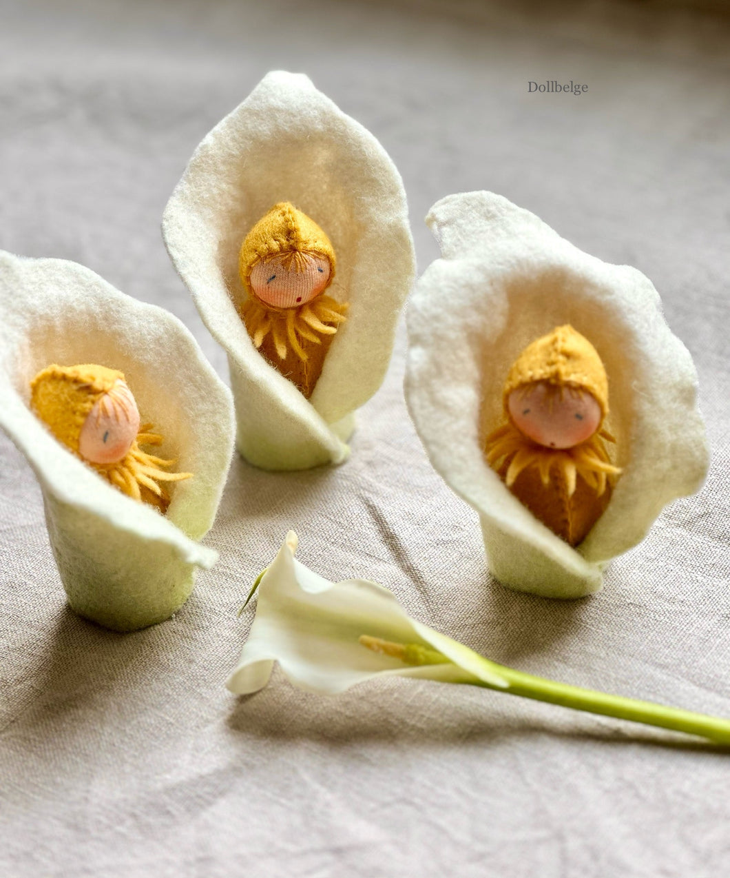 Calla Lily