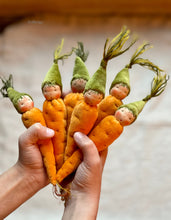 Load image into Gallery viewer, Carrot Baby
