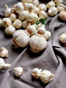 Garlic Baby