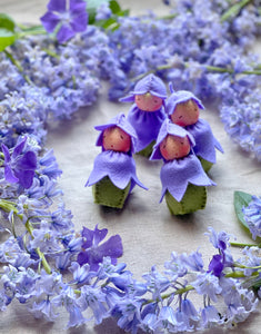Bluebell Baby
