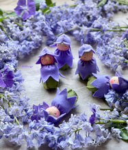 Load image into Gallery viewer, Bluebell Baby
