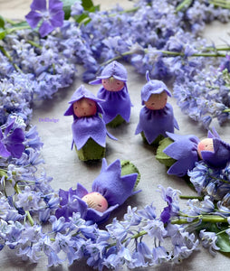 Bluebell Baby