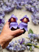 Load image into Gallery viewer, Bluebell Baby
