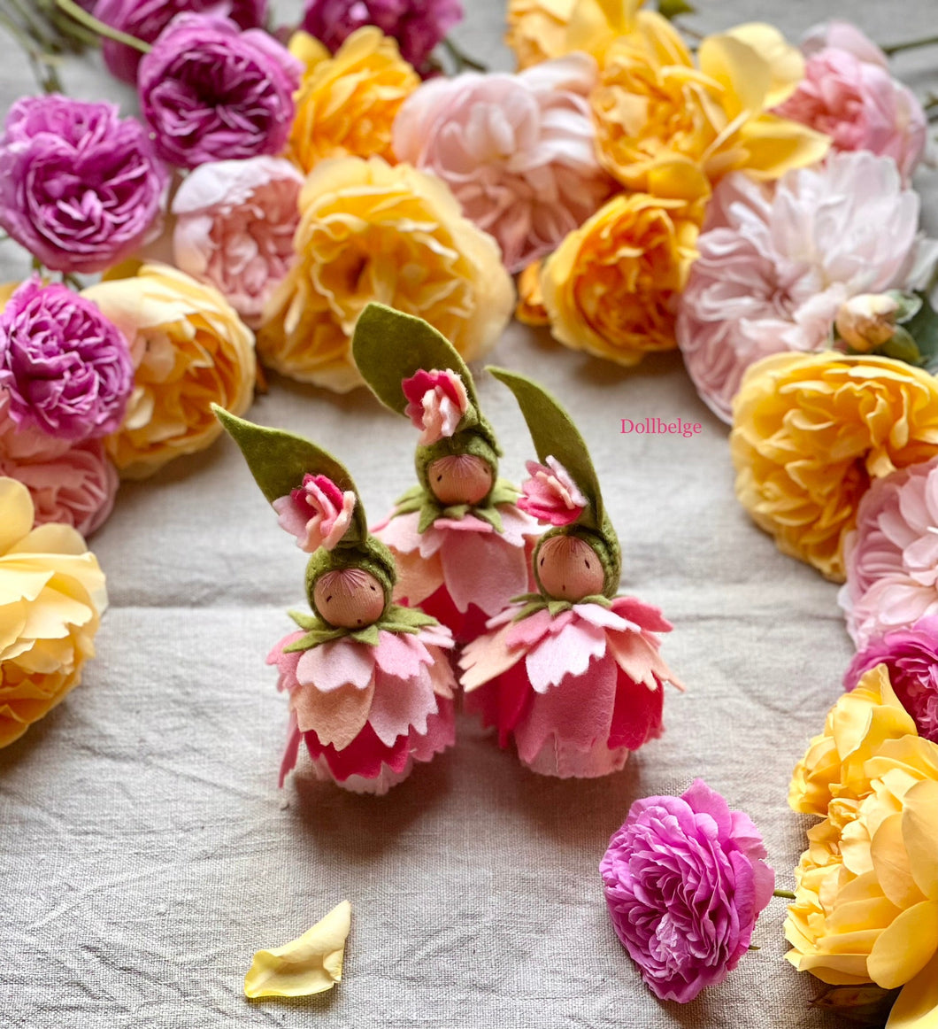 Rose Flower Child