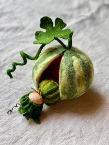 Watermelon Child