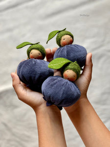 Blueberry Baby