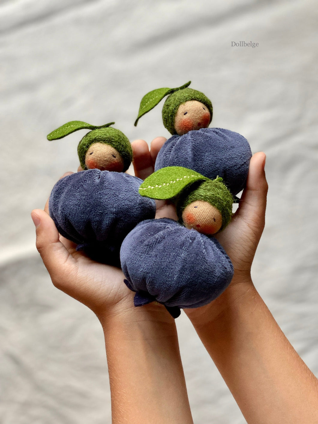 Blueberry Baby