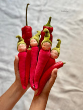Load image into Gallery viewer, Red Hot Chili Pepper
