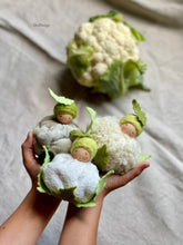 Load image into Gallery viewer, Cauliflower Child
