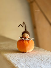 Load image into Gallery viewer, Mini Pumpkin - 8 cm
