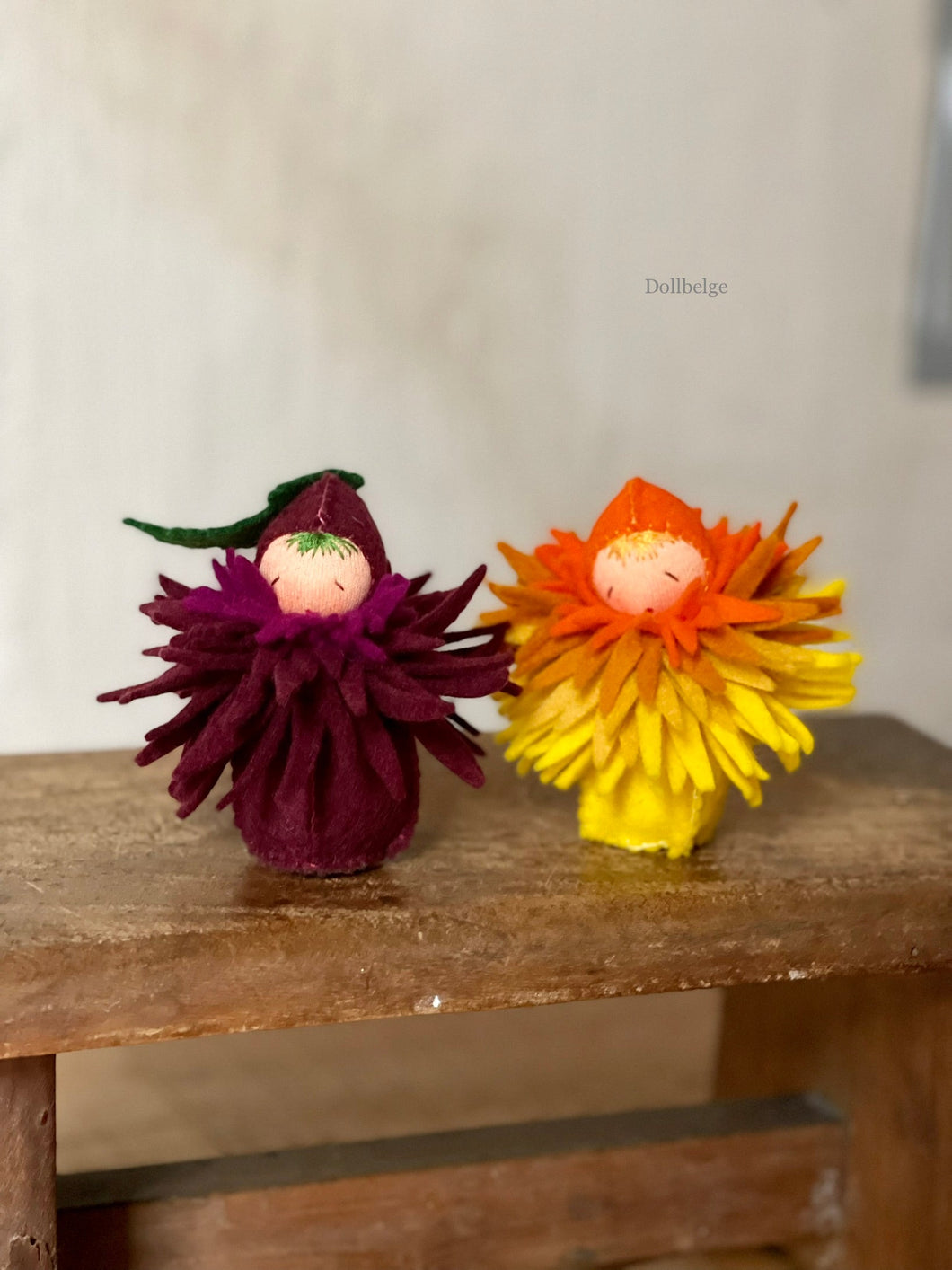 Chrysanthemum Children - 9 cm