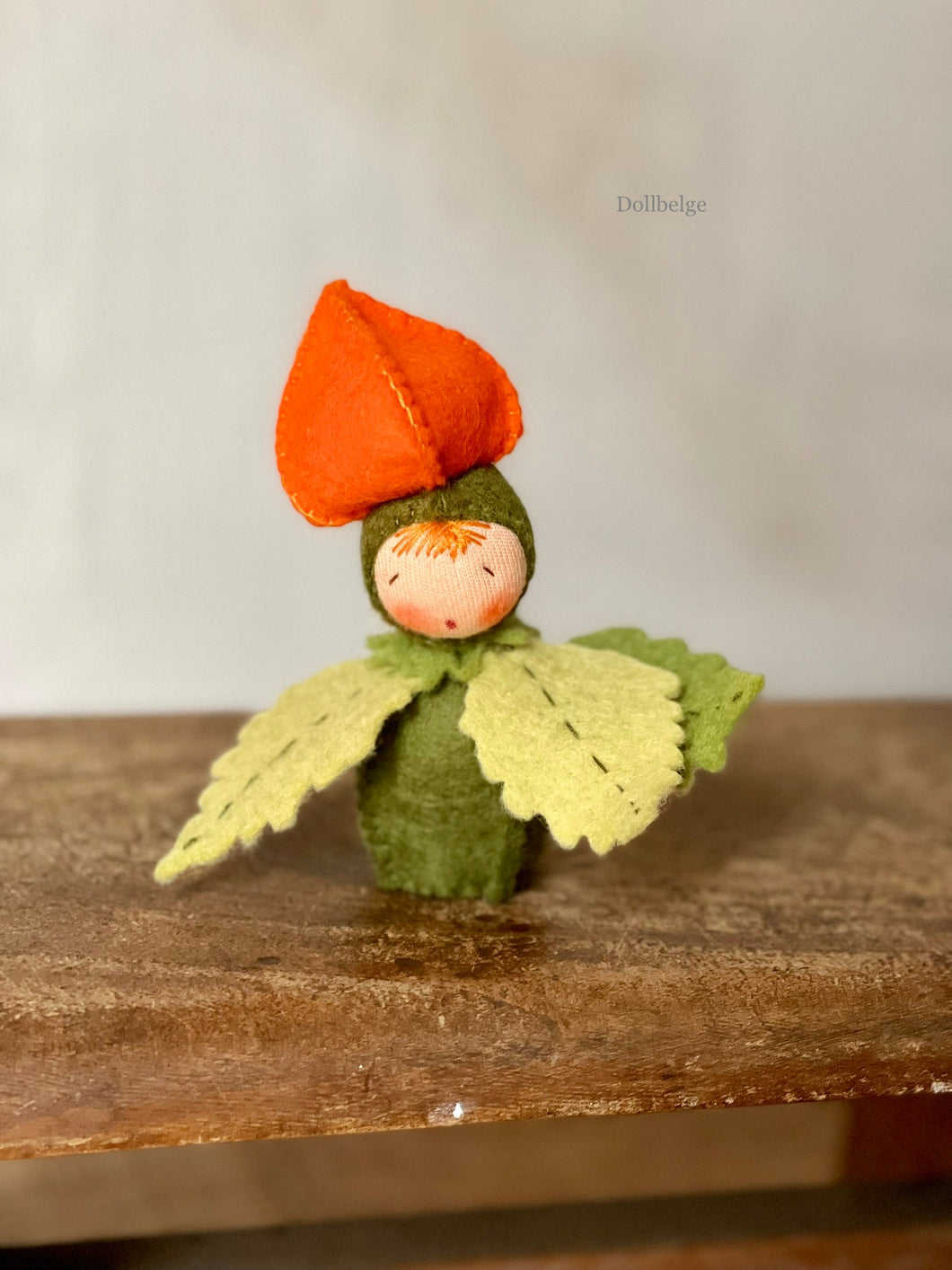 Physalis Child - 12 cm