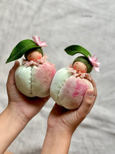 Load image into Gallery viewer, Peach Baby
