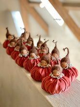 Load image into Gallery viewer, Pumpkin Baby - 12 cm
