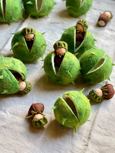 Chestnut Child