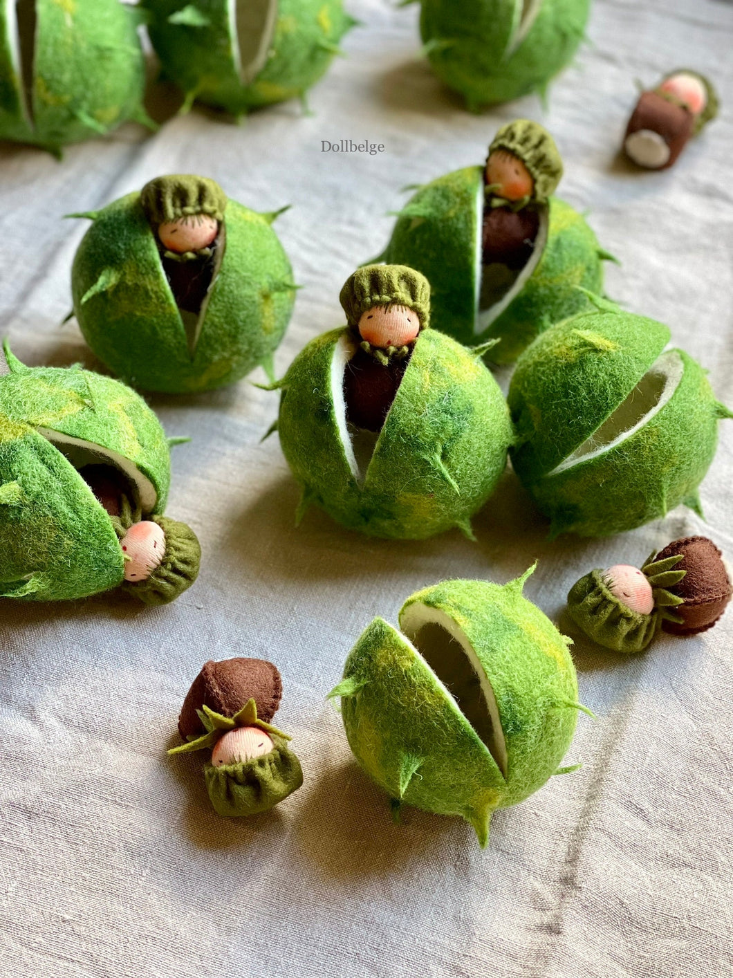 Chestnut Child