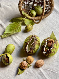 Walnut Baby