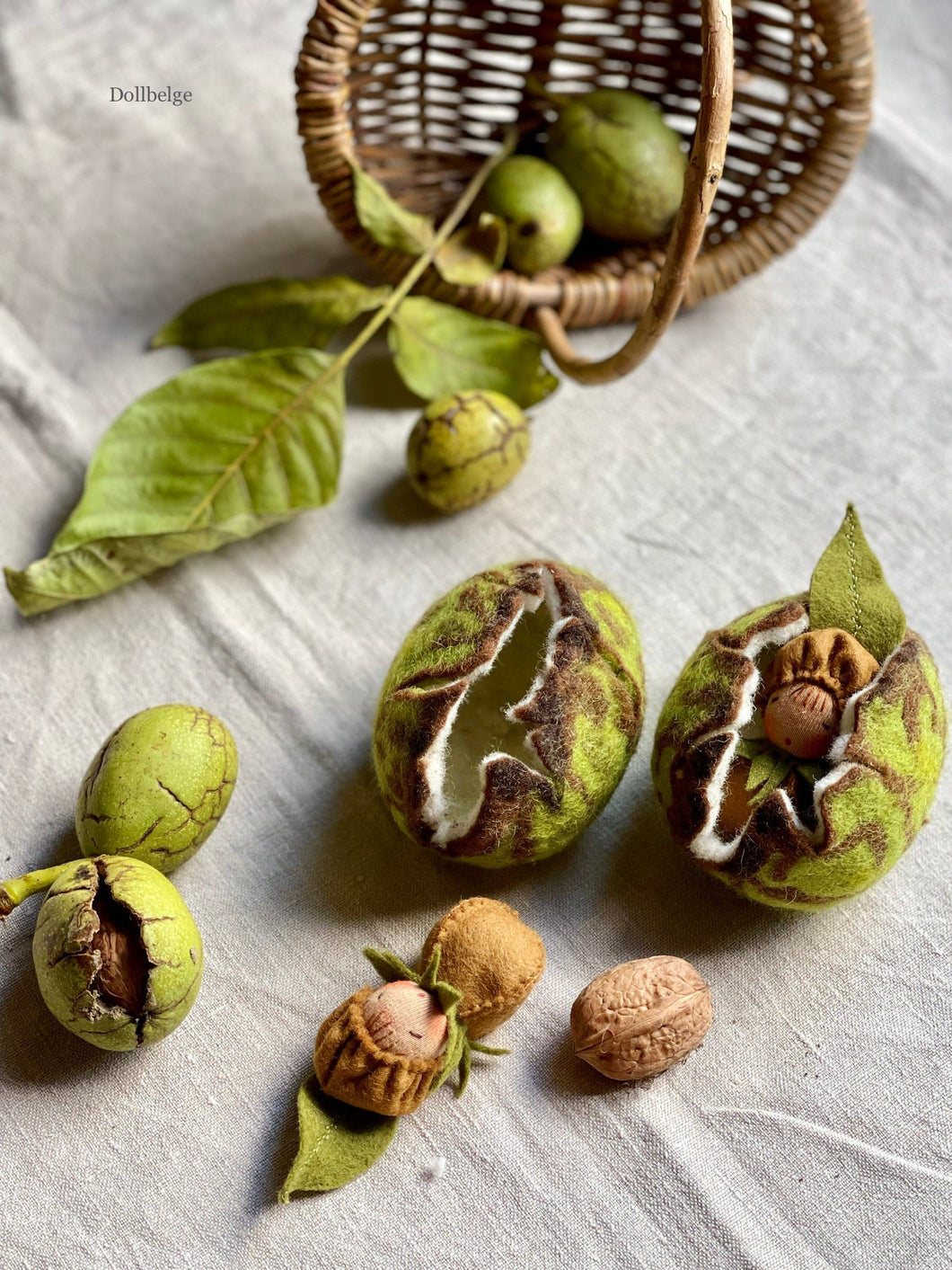 Walnut Baby