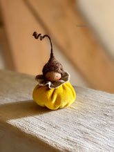 Load image into Gallery viewer, Mini Pumpkin - 8 cm
