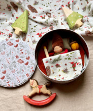Load image into Gallery viewer, Tiny Gnome in the Tin Gift Box
