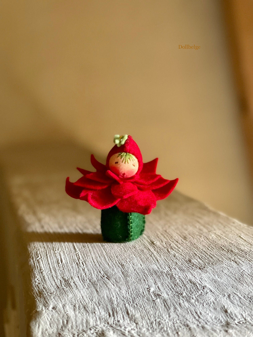 Pointsettia - 8 cm